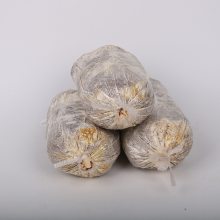 灵芝出芝菌包 康瑞灵芝种植 菌棒厂家 食用菌菌种制作 操作简单易管理