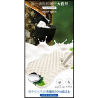 Ȼ齺-ʯ齺-