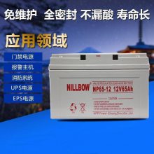 ͭNILLBOWNP200-12 12V200AHͨ5Gվն豸صƿװ