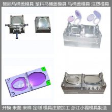 注塑智能马桶盖模具 智能马桶盖模具 /塑胶生产线模具制造厂家