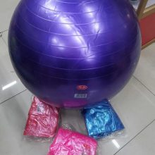 瑜伽球 健身球 儿童感统训练大龙球 PVC加厚防爆***