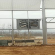 Ḻѹ