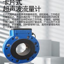 当曲地下水监测系统双声道超声波流量计农业水表DN-125