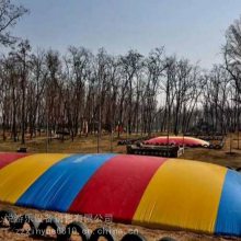 ֳıĴ2020***ڵµɳѴĴ