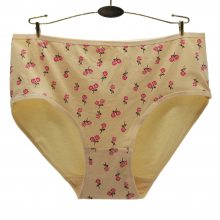 óֻ׷͸ӡŮʽǿ ڿŮpanties