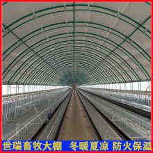 养牛大棚建设 宁津县世瑞畜牧设备 肉牛养殖大棚搭建