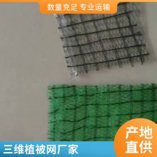 世杰EM2 EM4护坡固土网垫 草皮固土三维植被网 增加地表沉积物
