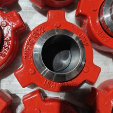 Ժɹ 3FIG602*SCH80*6000PSI*A105N *⾶88.9mm* ں7.62mm