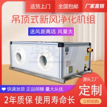 双向流商用吊顶式新风机组 净化中央新风系统 运行平稳厂家直营