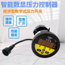 耐腐蚀轴向PP隔膜式数字压力表