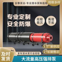 BQ1450-135/3-710/WS6000VѹøǱˮɳ