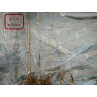 ӣ硢ڿӣǮһ