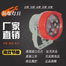 밲BZD180-109ϵзάLEDͶ20W-60Wӿ׵֤ȫ