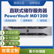 չDell Storage MD1400 1