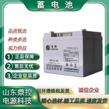 ʥSPG12-175W߹12V42AHǦ 豸 ҽ豸 UPSԴ ֱ