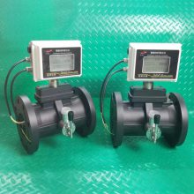 �����Ǳ� ���������� LWQ-D-50LP2 DN50 �ֻ�����