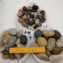 秦皇岛抛光鹅卵石批发，永顺抛光鹅卵石价格 3-5 5-8厘米