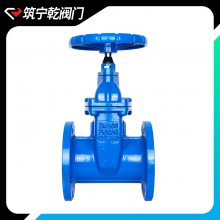 רҵֶբ ˵ʽբ dn250 ӱǬ