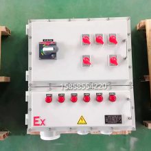 防爆配电柜 电热拌温控配电箱 冷轧钢板材质操作照明动力控制柜