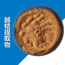 越橘提取物 水溶 食品原料 果汁粉 含花青素 浓缩粉食品添加剂