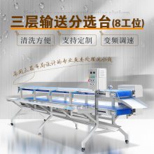 赣云商用自动化8工位双层杀鱼加工线,输送式杀鱼操作生产线