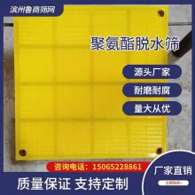聚氨酯脱水筛网 2445脱水筛机 水洗砂筛网 细沙回收设备 条缝筛 塑料网 方圆