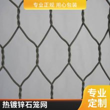 纸ʯ ѡ ж ˹ ƽ