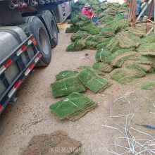 ���ϲ�ƺ��Ӧ ��ƺƷ����������/��Ľ��/�ļ���/�����/����é ���ż۵�