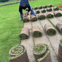 -������������Ƥ �ļ������ͺ��ͺ� �̻���ƺ������������