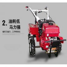 省时省力柴油旋地机 25马力水旱两用旋耕机 果园开沟机