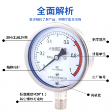 膜盒压力表YE100 0-160mbar 天然气千帕表YE-60燃气表千帕