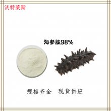 水溶性 海参多肽 海参肽85% 现货