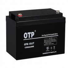 OTP6FM-24/12V24AH վUPS/EPSֱάǦ