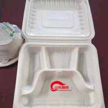 山东鲁舜一次性可降解餐具生产线