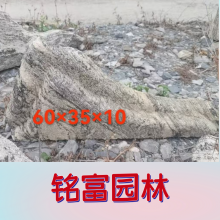 ѩʯƬ  Ǯһֻ֣Ҫ2-3ѩʯҲ ۣ ѩʯ