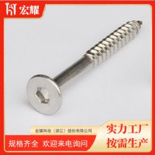 304/316 ͷǰ˿Թľݶ wood Screw