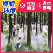 四川泸州公园喷雾造景设备-森林喷雾设备生产厂家【博驰环境】