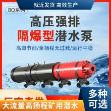 Ǳˮ10KV 6KVѹǱˮ۱úר ̩ѹǿ