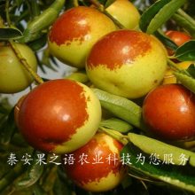 23ֶ硢3ֶһõļǮ