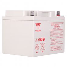 YUASAܷʽǦNP24-12ǳ12V24AH/10HR