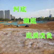 河道治理人工湖底泥改良剂 水质改良剂