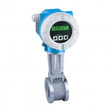 FMP51/FMP50/FMR245/FMR244״λֻ E+H