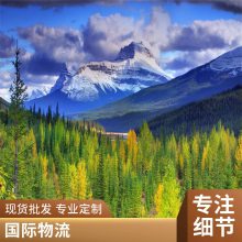 加拿大特快专线：5-8天内完成签收，适用于需要快速到达的货物