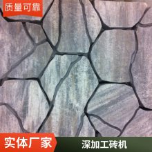 德国海斯 制砖机 路面砖设备 整理机全自动RH2000