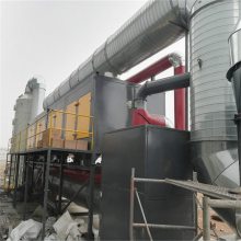 废气除臭装置 催化燃烧器 活性炭吸附环保设备