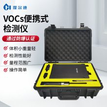 VOC-8000 ЯʽFID