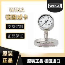 DSS27M符合EN837-1的隔膜压力表带法兰连接平嵌WIKA威卡