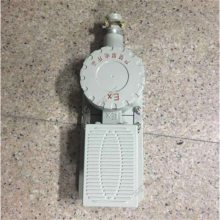 BJT-D不锈钢防爆脚踏开关 表面防腐 电缆布线 不锈钢防爆脚踏开关