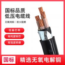 ʴ  YJV22 0.6/1KV ѹ ͭо 3*10+2*6mm?