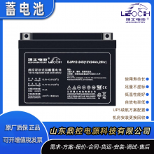 LEOCHʿ12V80PzV160̶͹״ܷ12V160AHװ